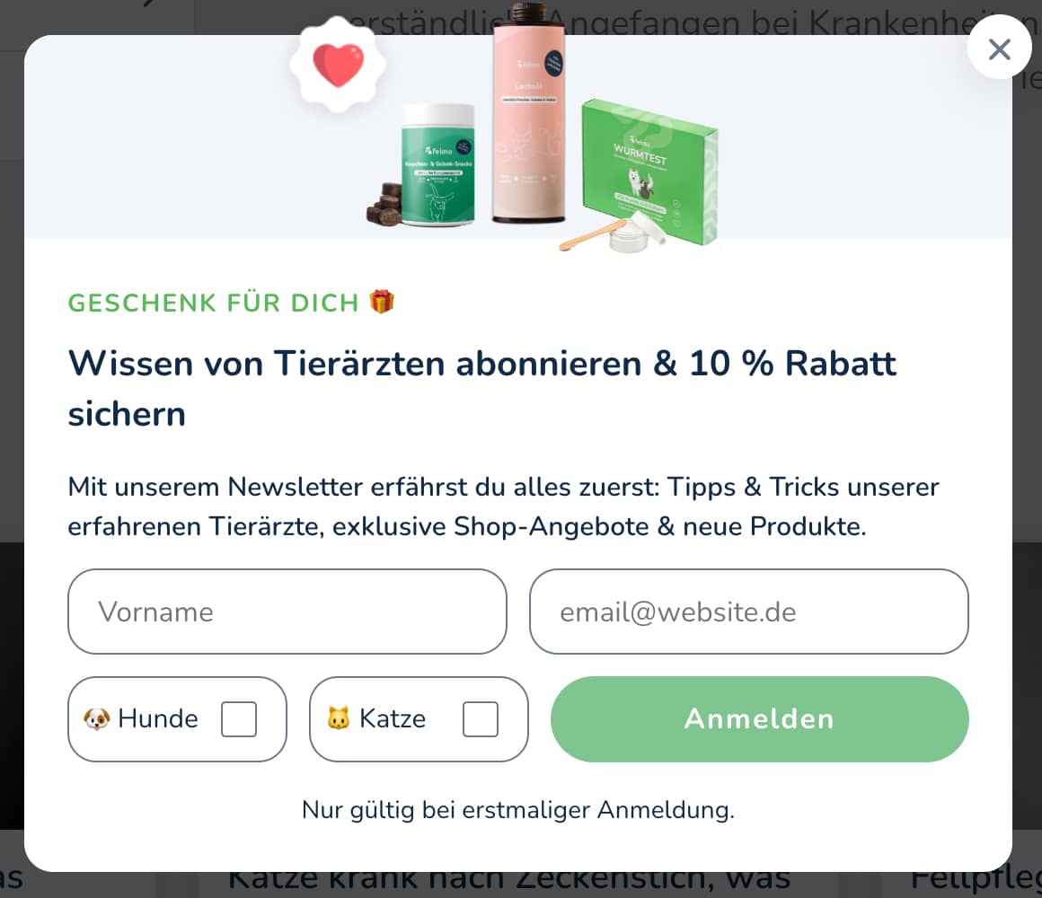 Pop-Up zur Newsletter-Anmeldung